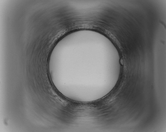 X0000099440625200805231718