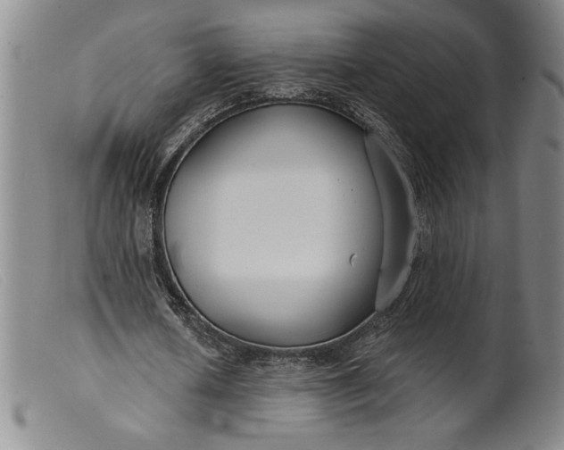 X0000099440626200805231718