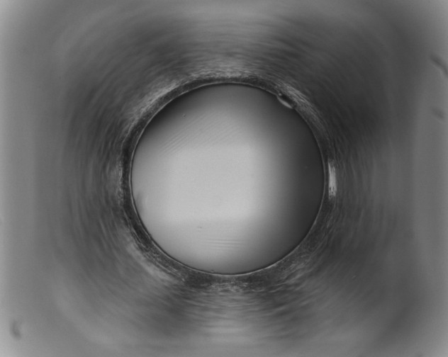 X0000099440627200805231718