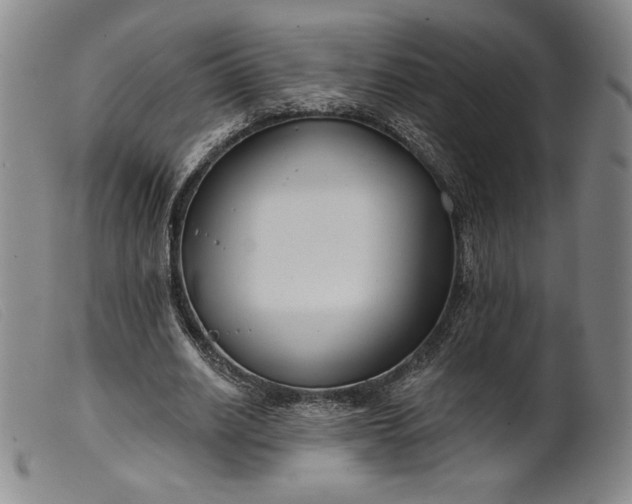 X0000099440630200805231718