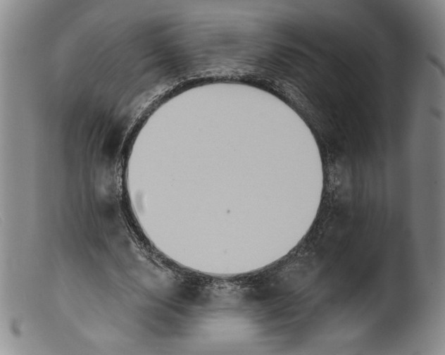 X0000099440632200805231718