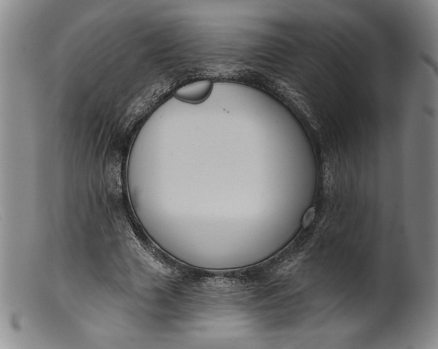 X0000099440633200805231718