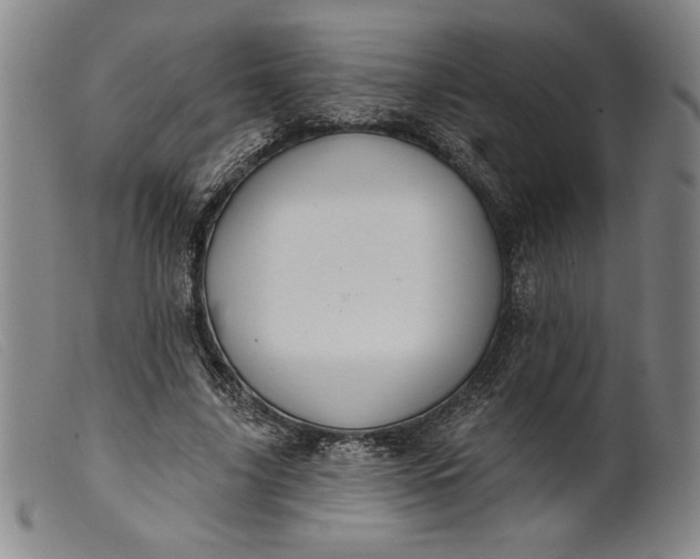 X0000099440635200805231718