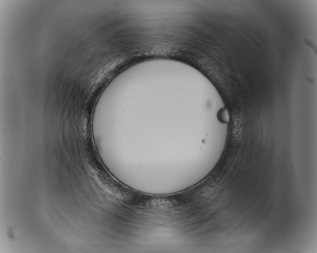 X0000099440636200805231718