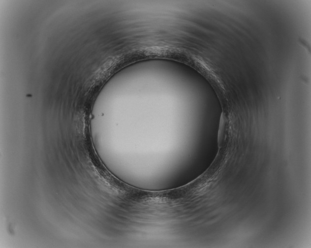 X0000099440637200805231718