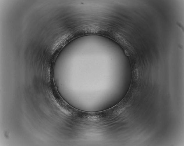 X0000099440638200805231718