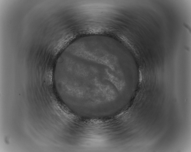 X0000099440640200805231718