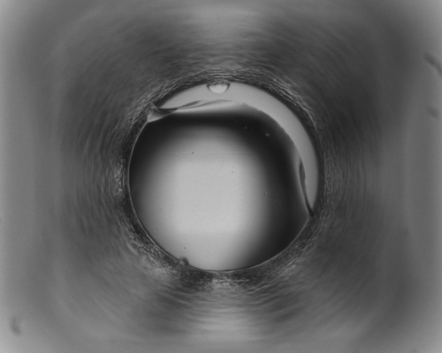 X0000099440641200805231718