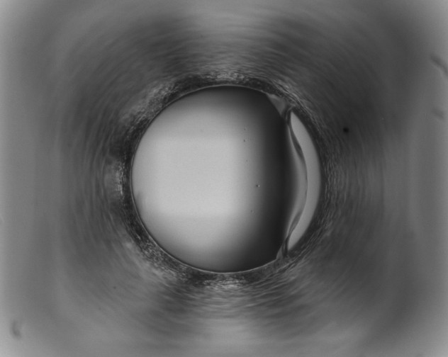 X0000099440643200805231718