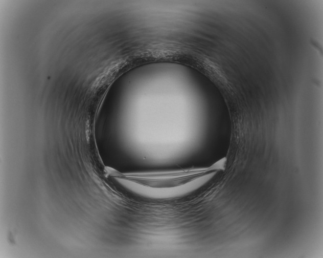 X0000099440644200805231718
