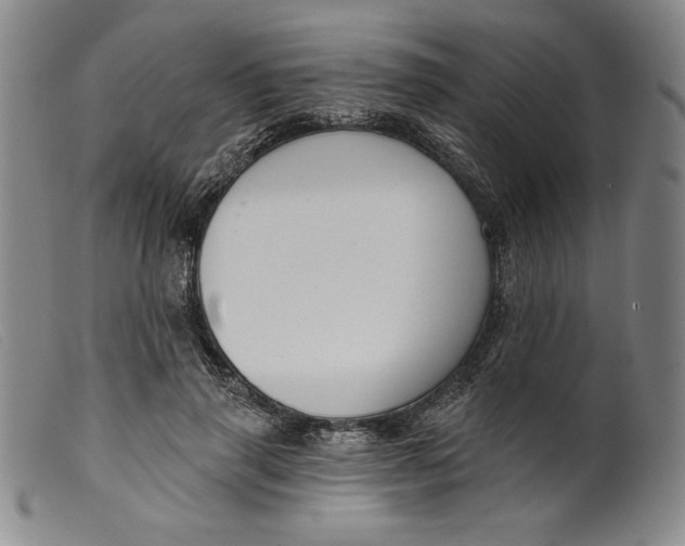 X0000099440645200805231718