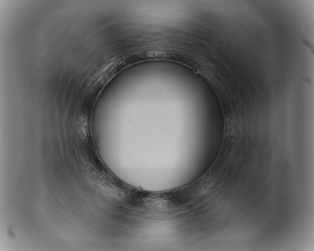 X0000099440648200805231718