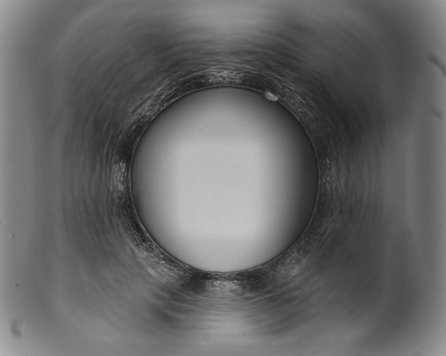 X0000099440649200805231718