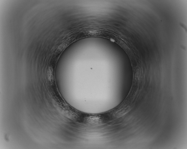 X0000099440651200805231718