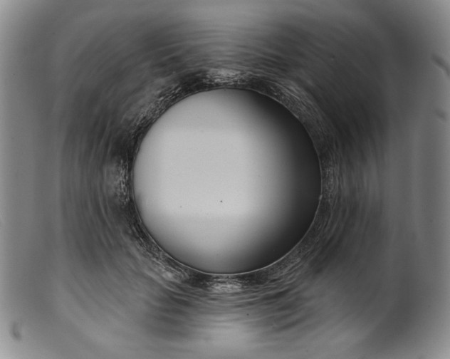 X0000099440653200805231718