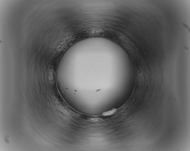 X0000099440654200805231718