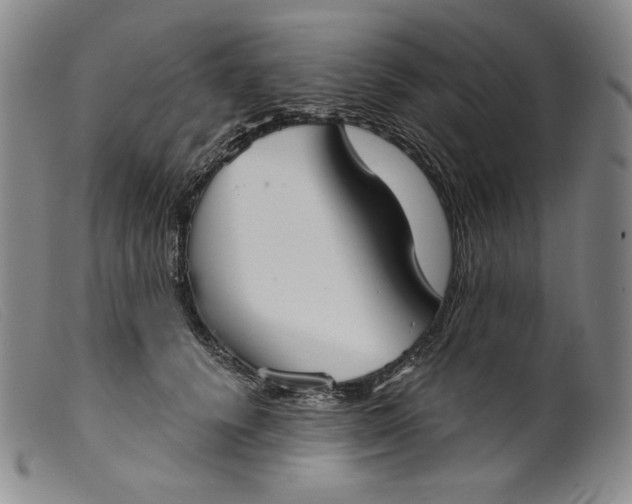 X0000099440656200805231719