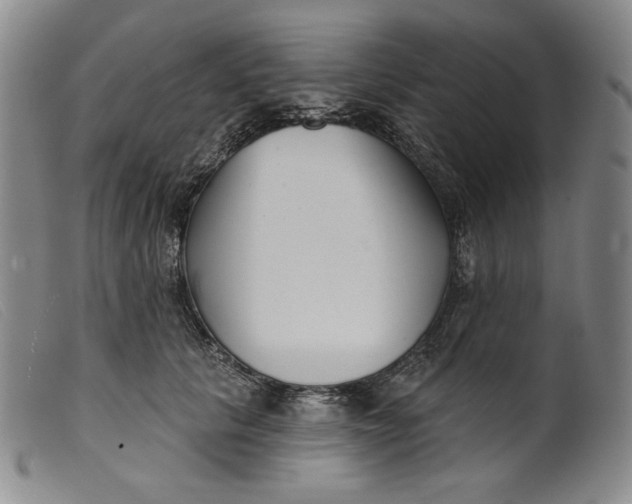 X0000099440657200805231719