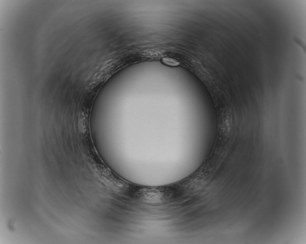 X0000099440658200805231719
