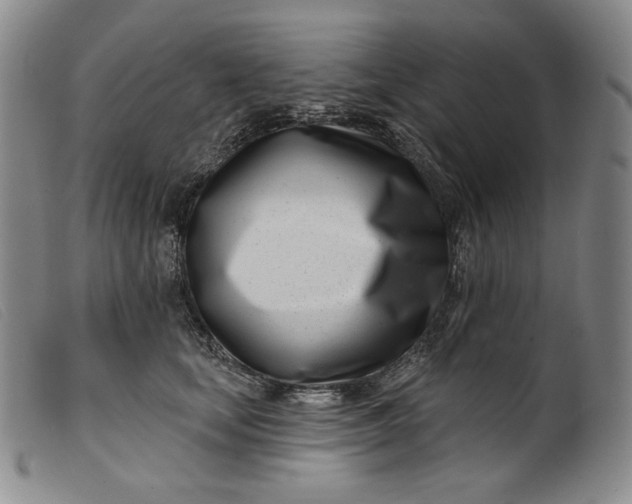 X0000099440659200805231719