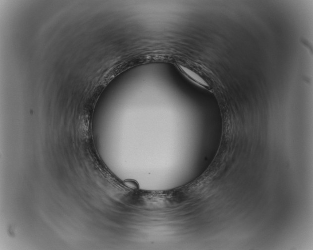 X0000099440661200805231719
