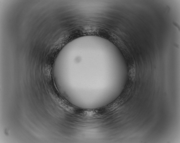 X0000099440662200805231719