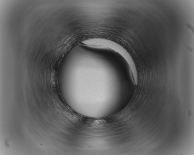 X0000099440663200805231719