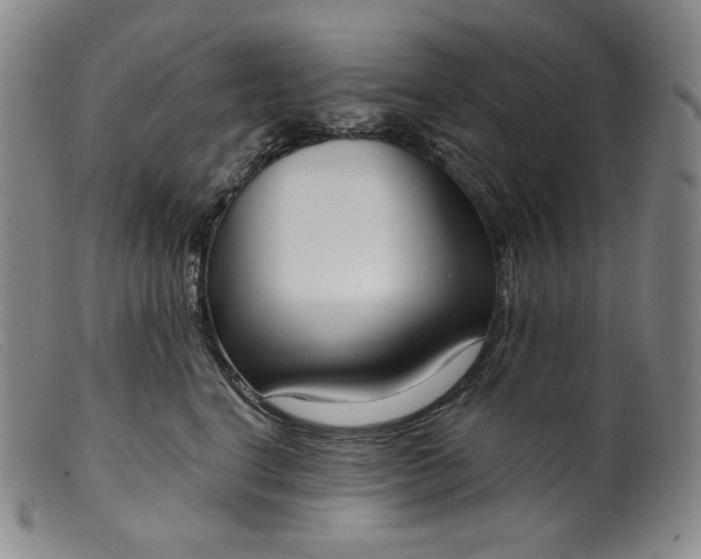 X0000099440664200805231719