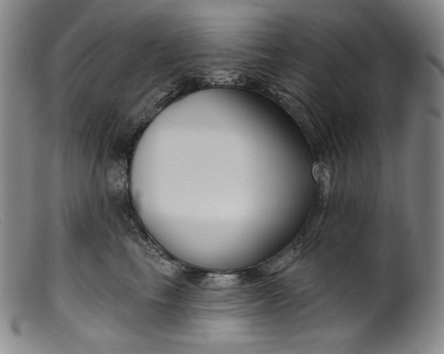 X0000099440665200805231719