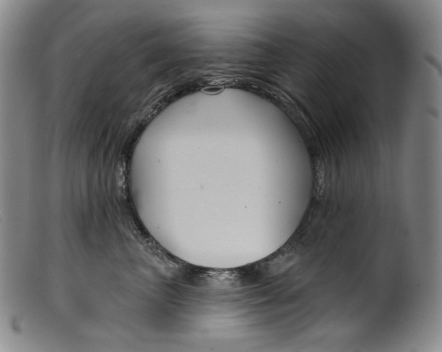 X0000099440667200805231719