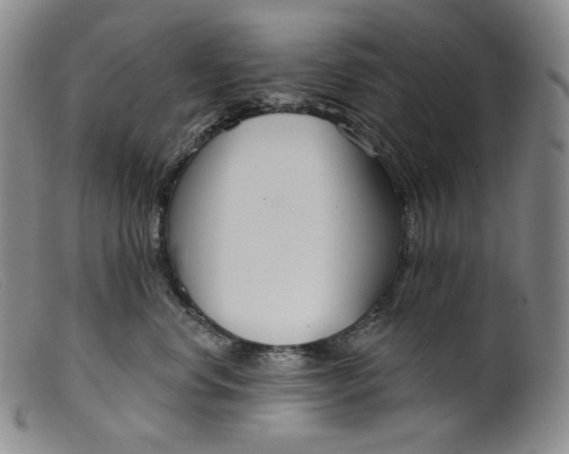 X0000099440668200805231719