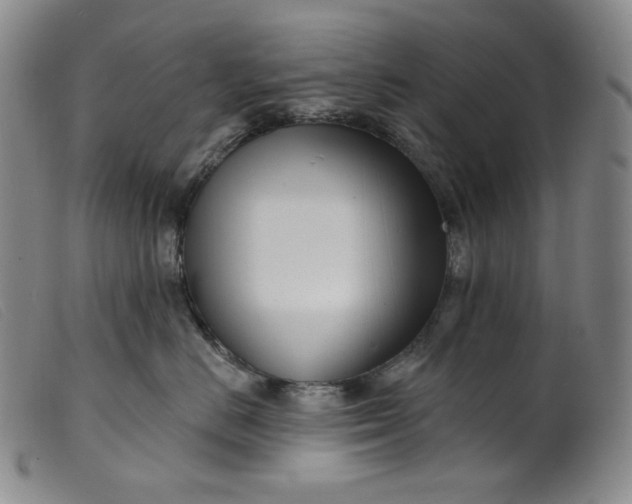 X0000099440670200805231719