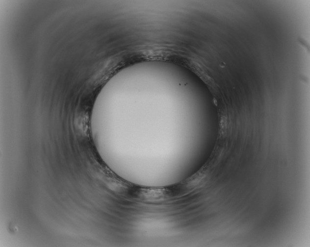 X0000099440671200805231719