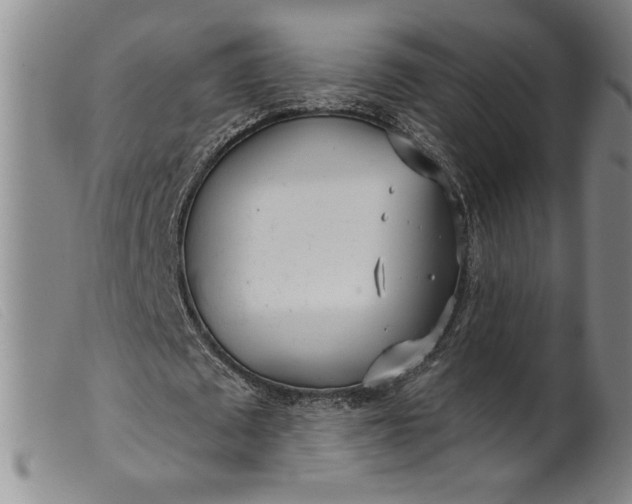 X0000099440673200805231718