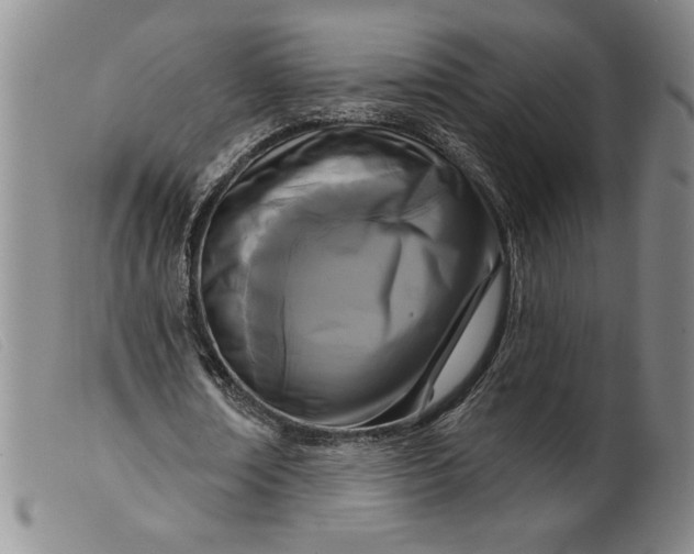 X0000099440674200805231718