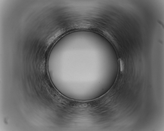 X0000099440675200805231718