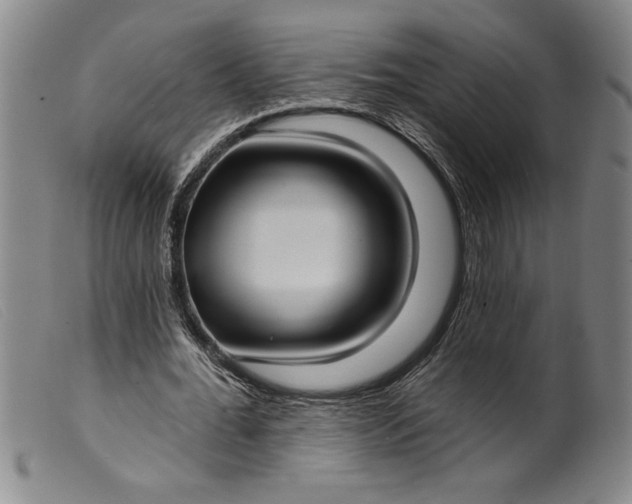 X0000099440676200805231718