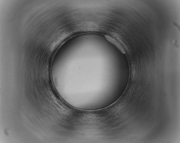 X0000099440677200805231718