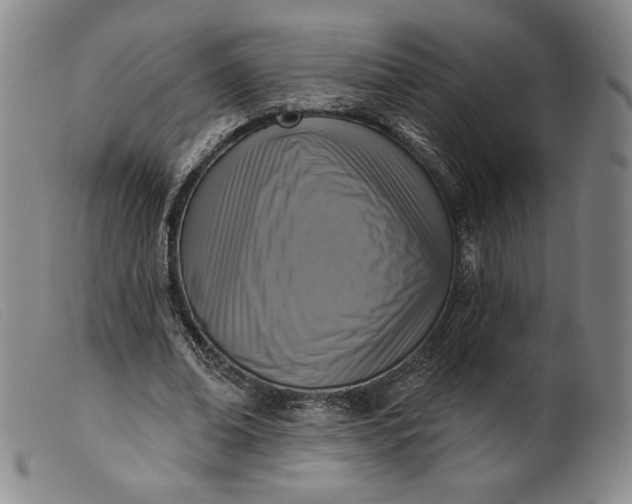 X0000099440678200805231718