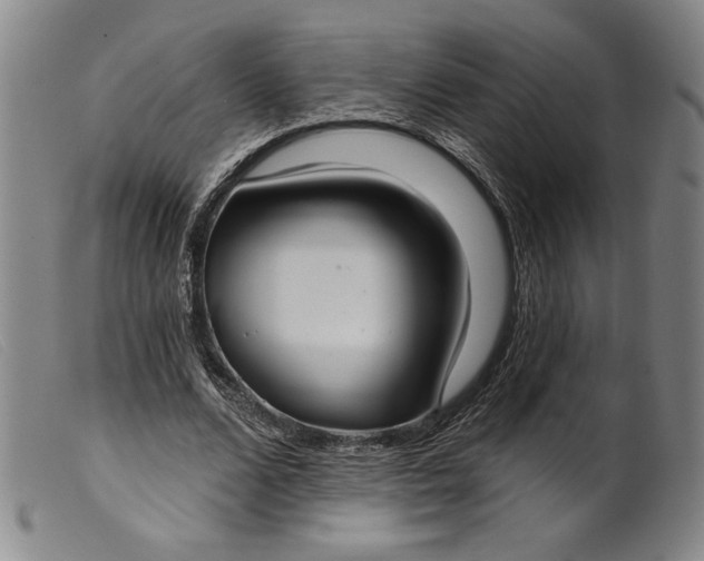 X0000099440680200805231718