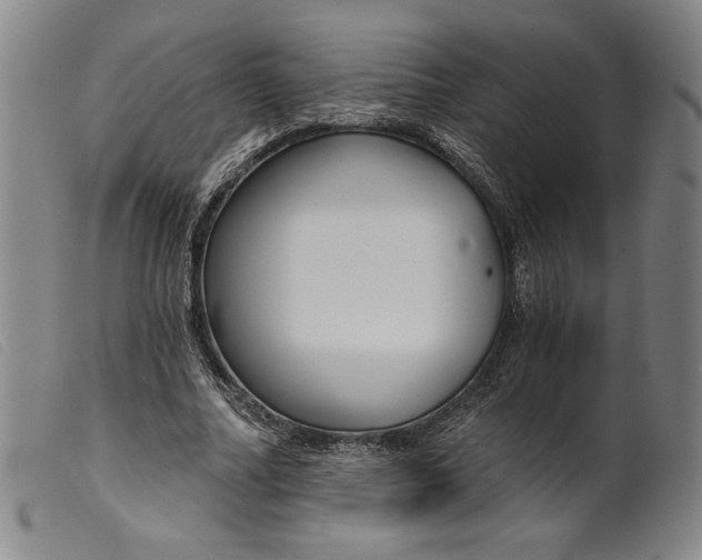 X0000099440682200805231718
