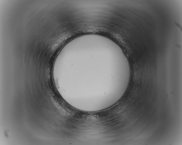 X0000099440683200805231718