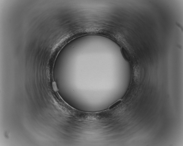X0000099440684200805231718
