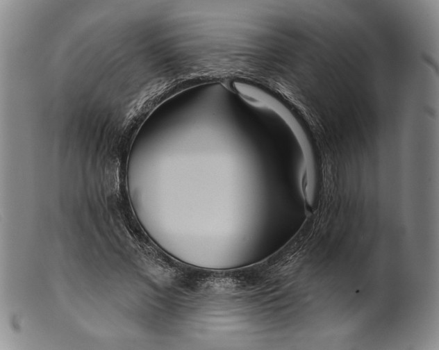 X0000099440685200805231718