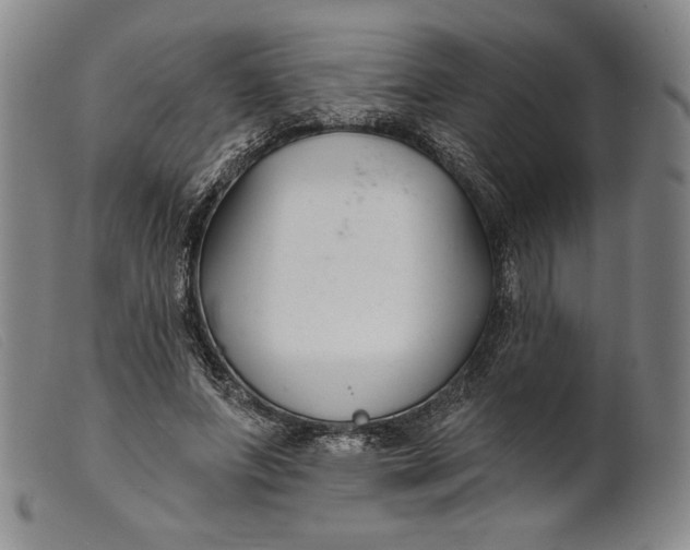 X0000099440687200805231718