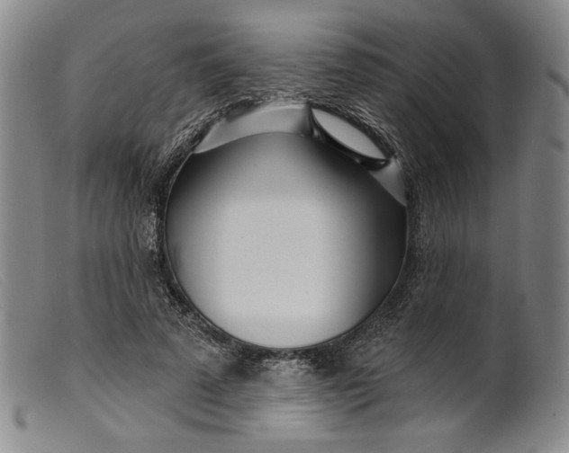 X0000099440689200805231718
