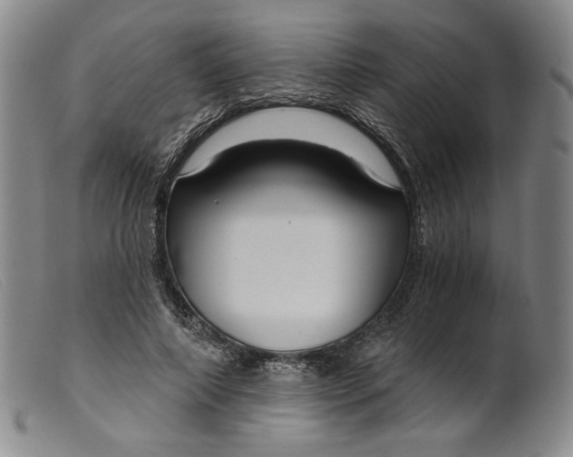 X0000099440690200805231718