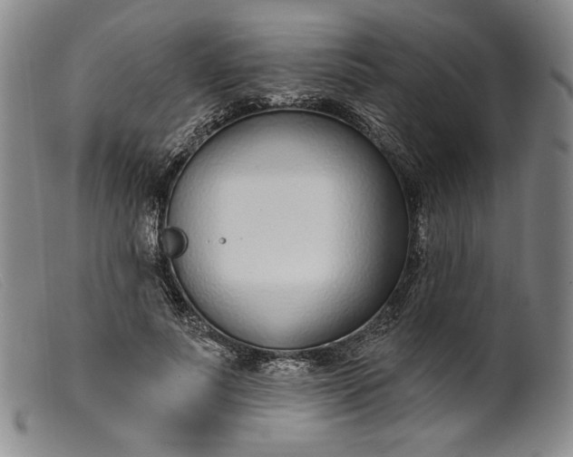 X0000099440691200805231718