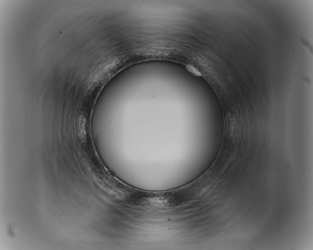 X0000099440692200805231718