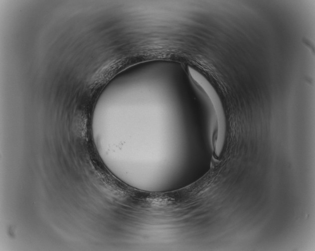 X0000099440693200805231718